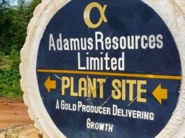 Salman Chief slams Adamus lease revocation, urges gov’t to restore it